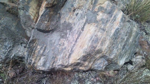 Гигантские зелёные валуны для ландшафтного дизайна весом более 5 тонн купить в Балашихе